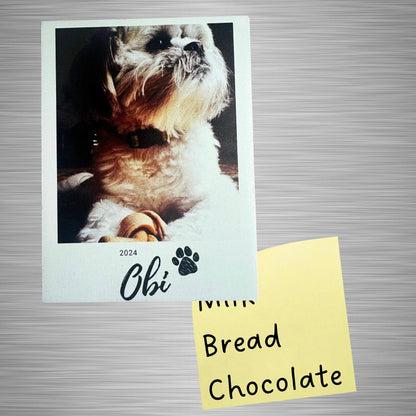 Pet Magnet Memorial Gift Custom Photo Magnet Wood Pet Portrait Picture Keepsake for Dog Owner Pet Loss Sympathy Gift Photo Tribute