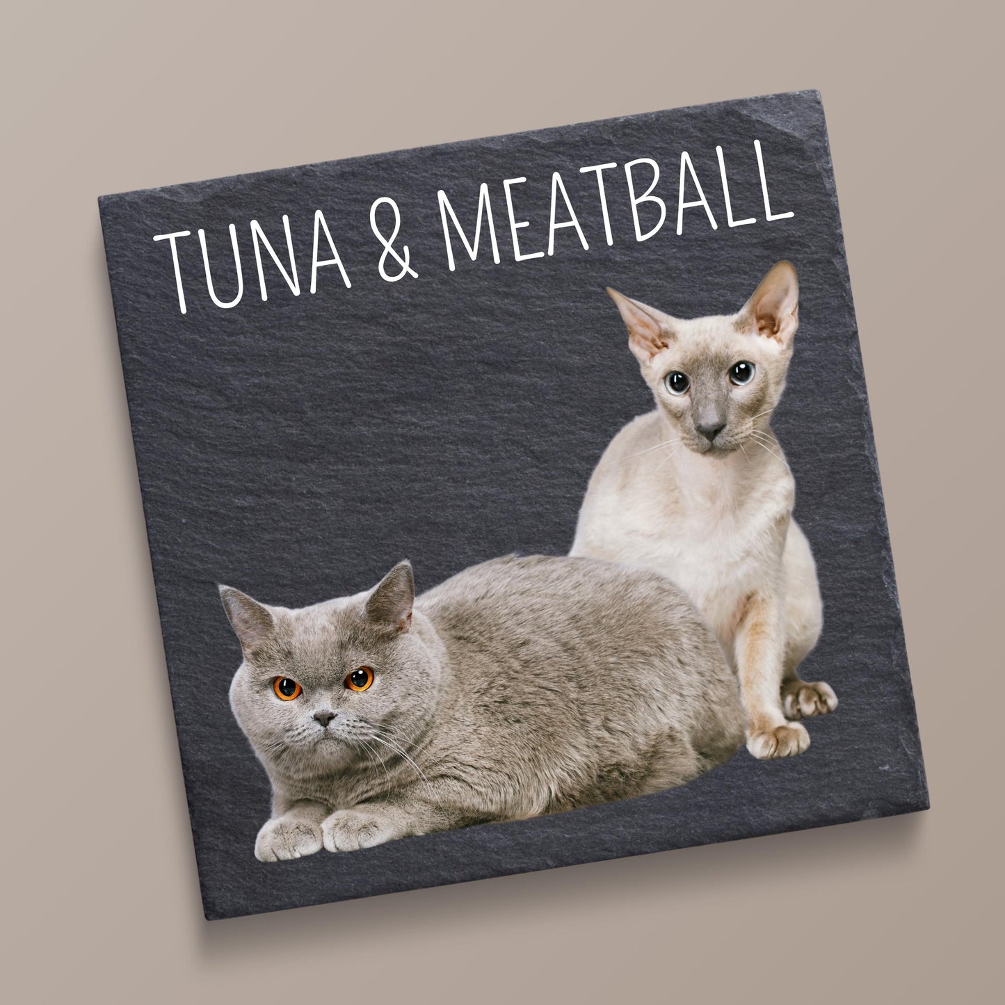 Personalized Pet Coaster Gift Idea for Dog Lover Custom Photo Tribute Pet Memorial Slate Coaster Present for Cat Owner Pet Loss Keepsake