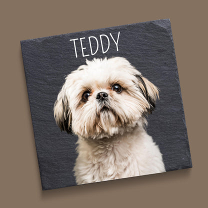 Personalized Pet Coaster Gift Idea for Dog Lover Custom Photo Tribute Pet Memorial Slate Coaster Present for Cat Owner Pet Loss Keepsake